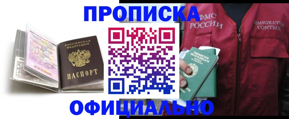 прописка 2025 в Димитровграде